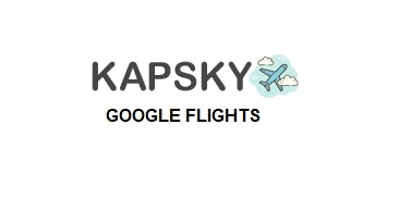 Save Money on Air Tickets with Google Flights