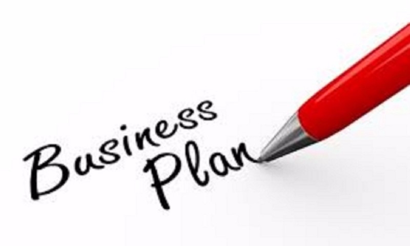I will write business plan suitable for bank loan